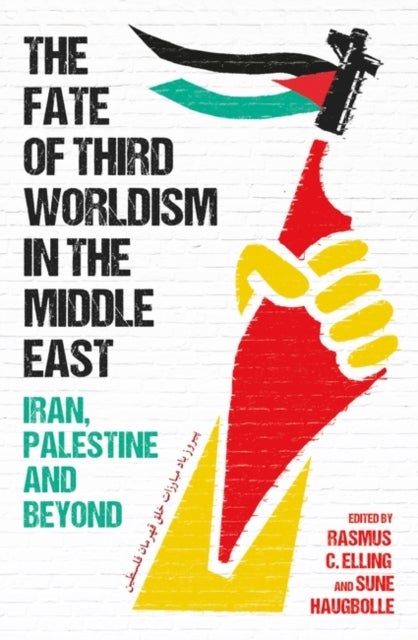 The Fate of Third Worldism in the Middle East - Iran, Palestine and Beyond