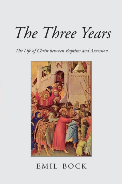The Three Years - The Life of Christ Between Baptism and Ascension