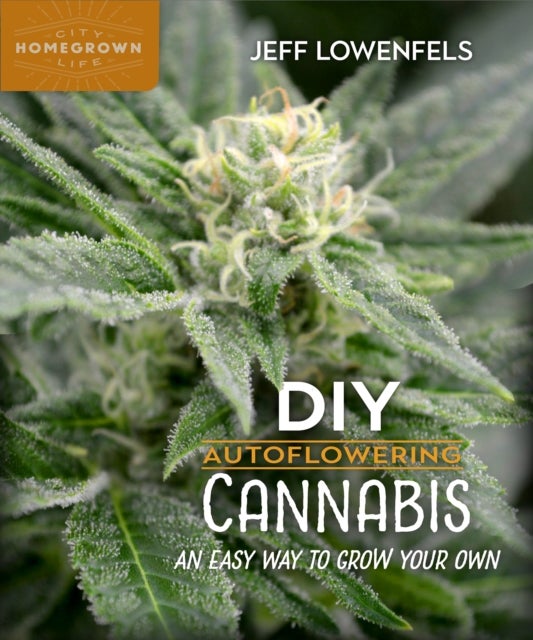 DIY Autoflowering Cannabis - An Easy Way to Grow Your Own