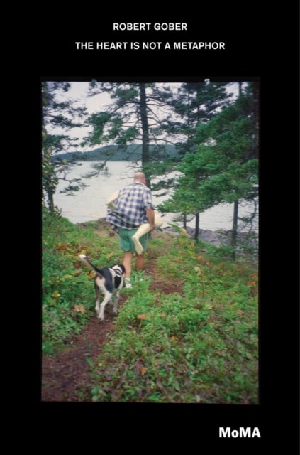 Robert Gober - The Heart is not a Metaphor