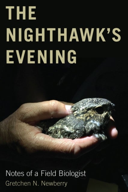 The Nighthawk's Evening - Notes of a Field Biologist