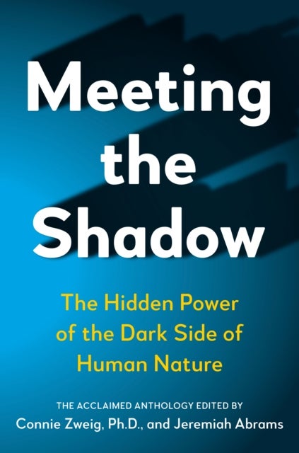 Meeting the Shadow - The Hidden Power of the Dark Side of Human Nature