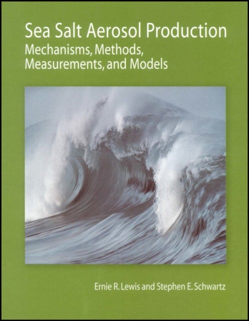Sea Salt Aerosol Production - Mechanisms, Methods, Measurements, and Models