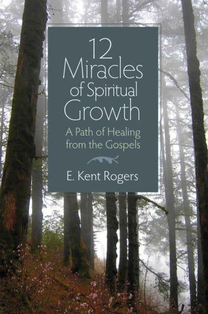 12 Miracles of Spiritual Growth - A Path of Healing from the Gospels