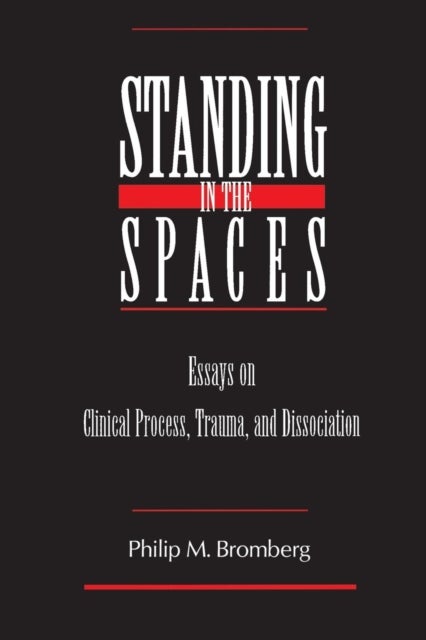 Standing in the Spaces - Essays on Clinical Process Trauma and Dissociation