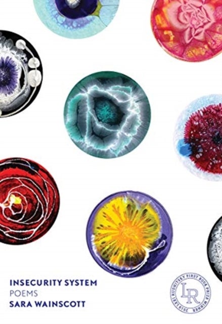 Insecurity System - Poems