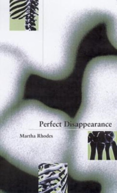 Perfect Disappearance