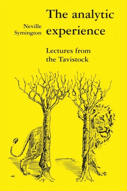The Analytic Experience - Lectures from the Tavistock