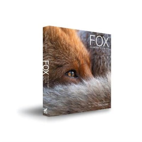 Fox - Neighbour Villain Icon