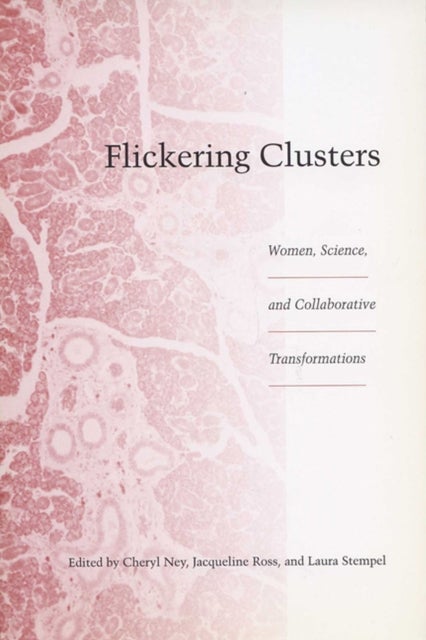 Flickering Clusters - Women, Science and Collaborative Transformations