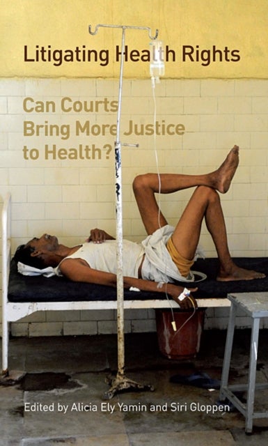 Litigating Health Rights - Can Courts Bring More Justice to Health?