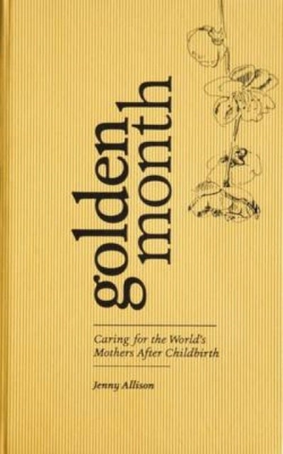 Golden Month - Caring for the World's Mothers After Childbirth