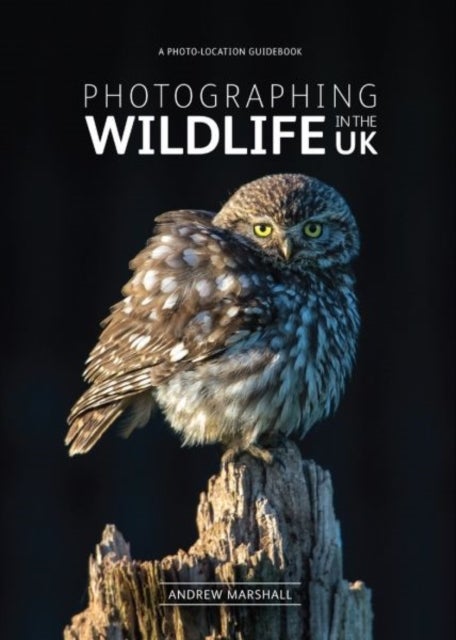 Photographing Wildlife in the UK - Where and How to Take Great Wildlife Photographs