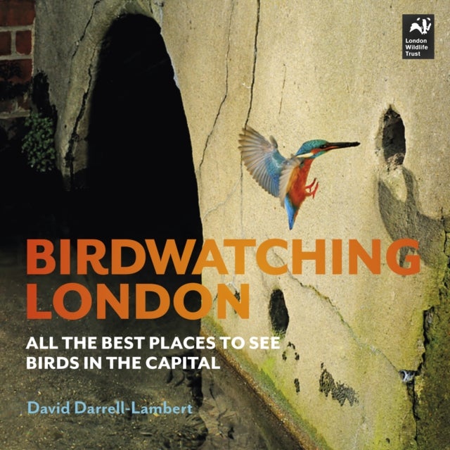 Birdwatching London - The Best Places to See Birds in the Capital