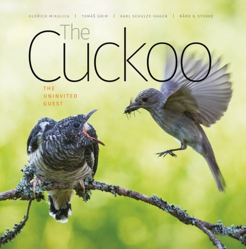 The Cuckoo - The Uninvited Guest