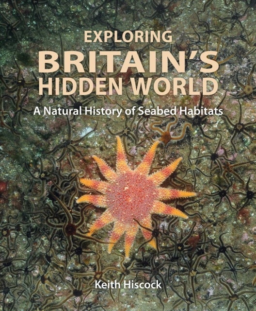 Exploring Britain's Hidden World - A natural history of seabed habitats