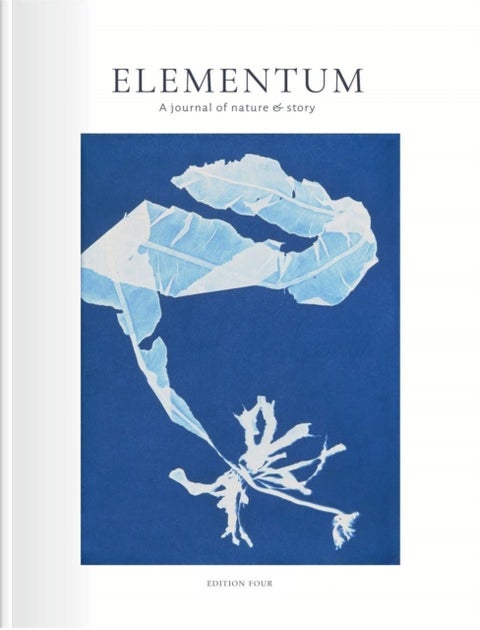 Elementum Journal - Shape