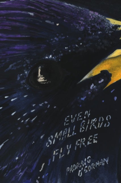 even small birds fly free