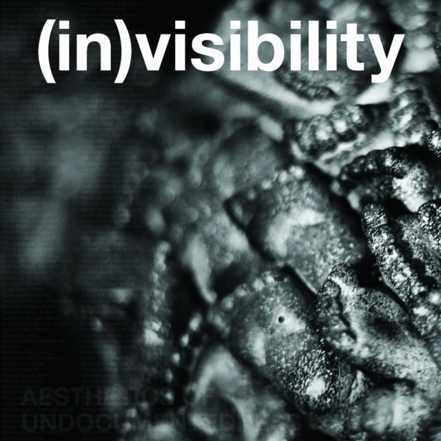 (in)visibility