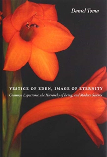 Vestige of Eden, Image of Eternity - Common Experience, the Hierarchy of Being, and Modern Science