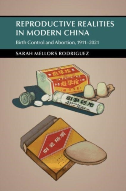 Reproductive Realities in Modern China - Birth Control and Abortion, 1911–2021