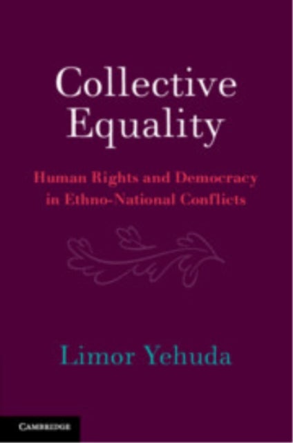 Collective Equality - Human Rights and Democracy in Ethno-National Conflicts