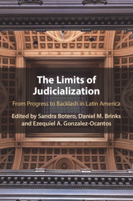 The Limits of Judicialization - From Progress to Backlash in Latin America