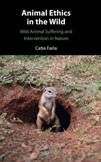 Animal Ethics in the Wild - Wild Animal Suffering and Intervention in Nature