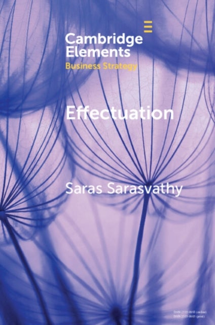 Effectuation - Rethinking Fundamental Concepts in the Social Sciences