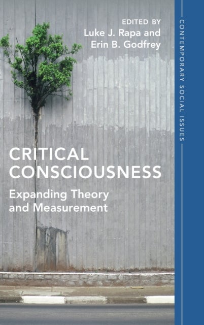 Critical Consciousness - Expanding Theory and Measurement