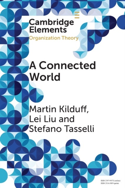 A Connected World - Social Networks and Organizations
