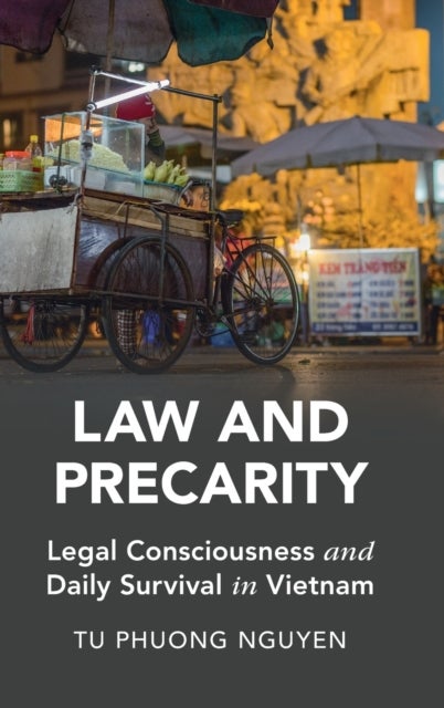 Law and Precarity - Legal Consciousness and Daily Survival in Vietnam