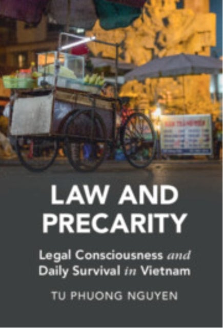 Law and Precarity - Legal Consciousness and Daily Survival in Vietnam