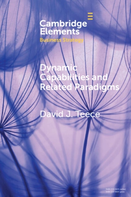 Dynamic Capabilities and Related Paradigms