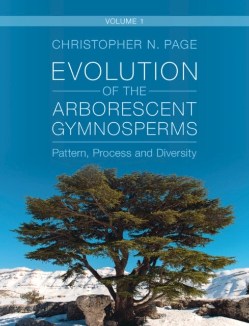 Evolution of the Arborescent Gymnosperms: Volume 1, Northern Hemisphere Focus - Pattern, Process and Diversity