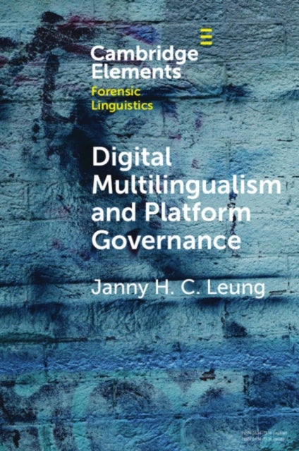 Digital Multilingualism and Platform Governance