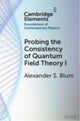 Probing the Consistency of Quantum Field Theory I