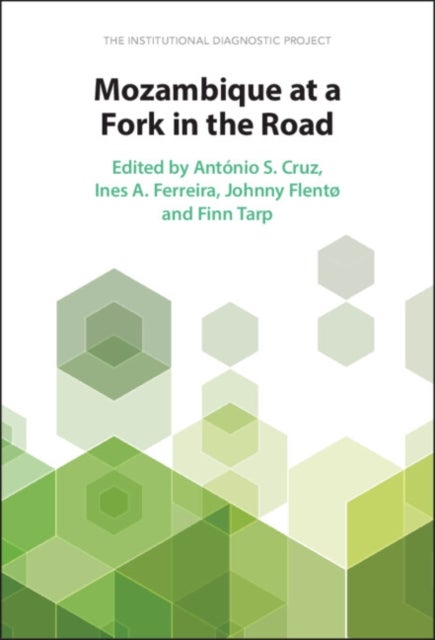 Mozambique at a Fork in the Road - The Institutional Diagnostic Project
