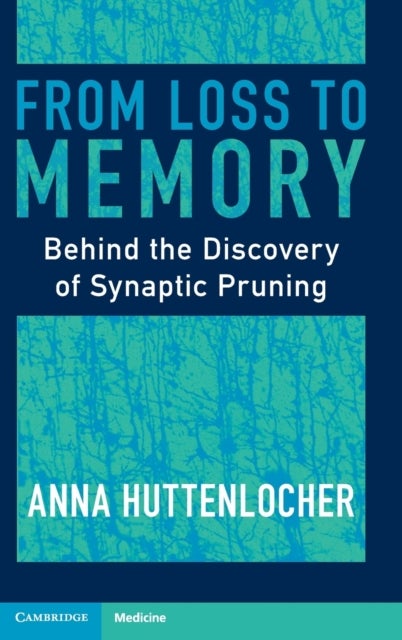 From Loss to Memory - Behind the Discovery of Synaptic Pruning