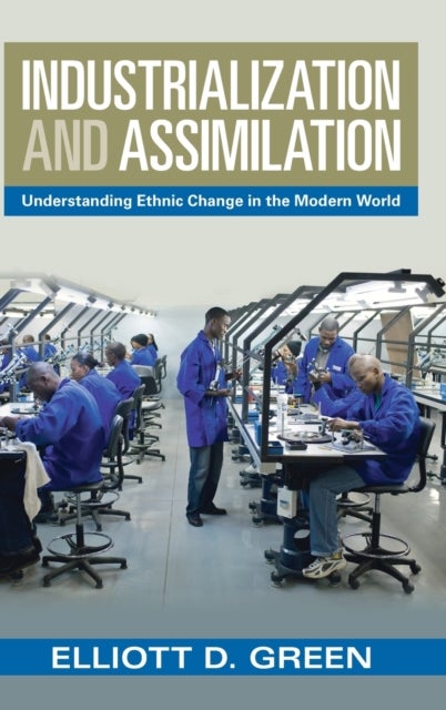 Industrialization and Assimilation - Understanding Ethnic Change in the Modern World