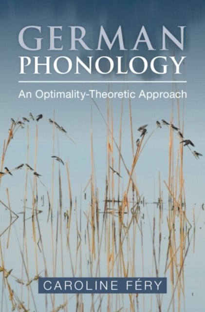German Phonology - An Optimality-Theoretic Approach