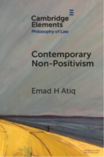 Contemporary Non-Positivism
