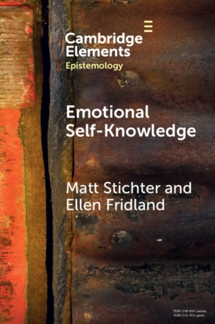 Emotional Self-Knowledge - How Affective Skills Reveal Our Values, Goals, Cares, and Concerns