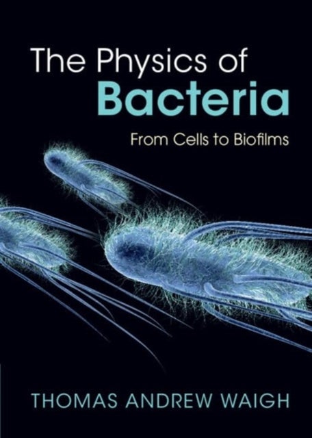 The Physics of Bacteria - From Cells to Biofilms