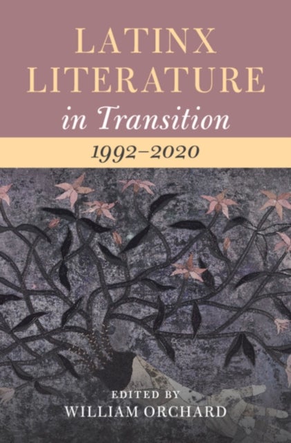 Latinx Literature in Transition, 1992–2020: Volume 3