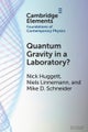 Quantum Gravity in a Laboratory?