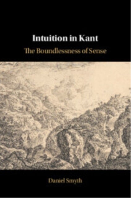 Intuition in Kant - The Boundlessness of Sense