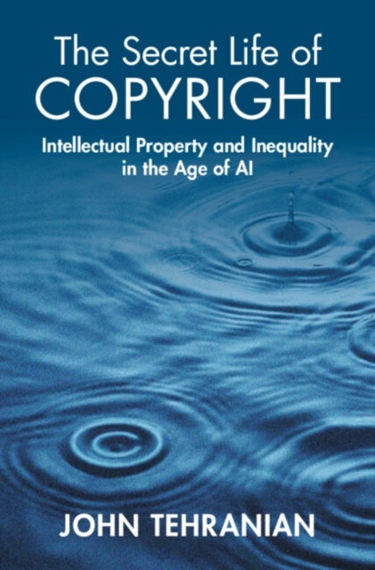 The Secret Life of Copyright - Intellectual Property and Inequality in the Age of AI