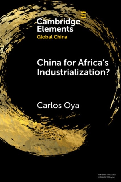 China for Africa's Industrialization?