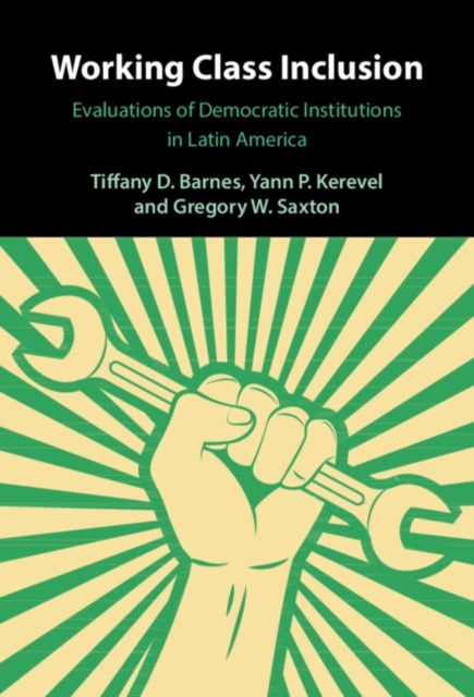 Working Class Inclusion - Evaluations of Democratic Institutions in Latin America
